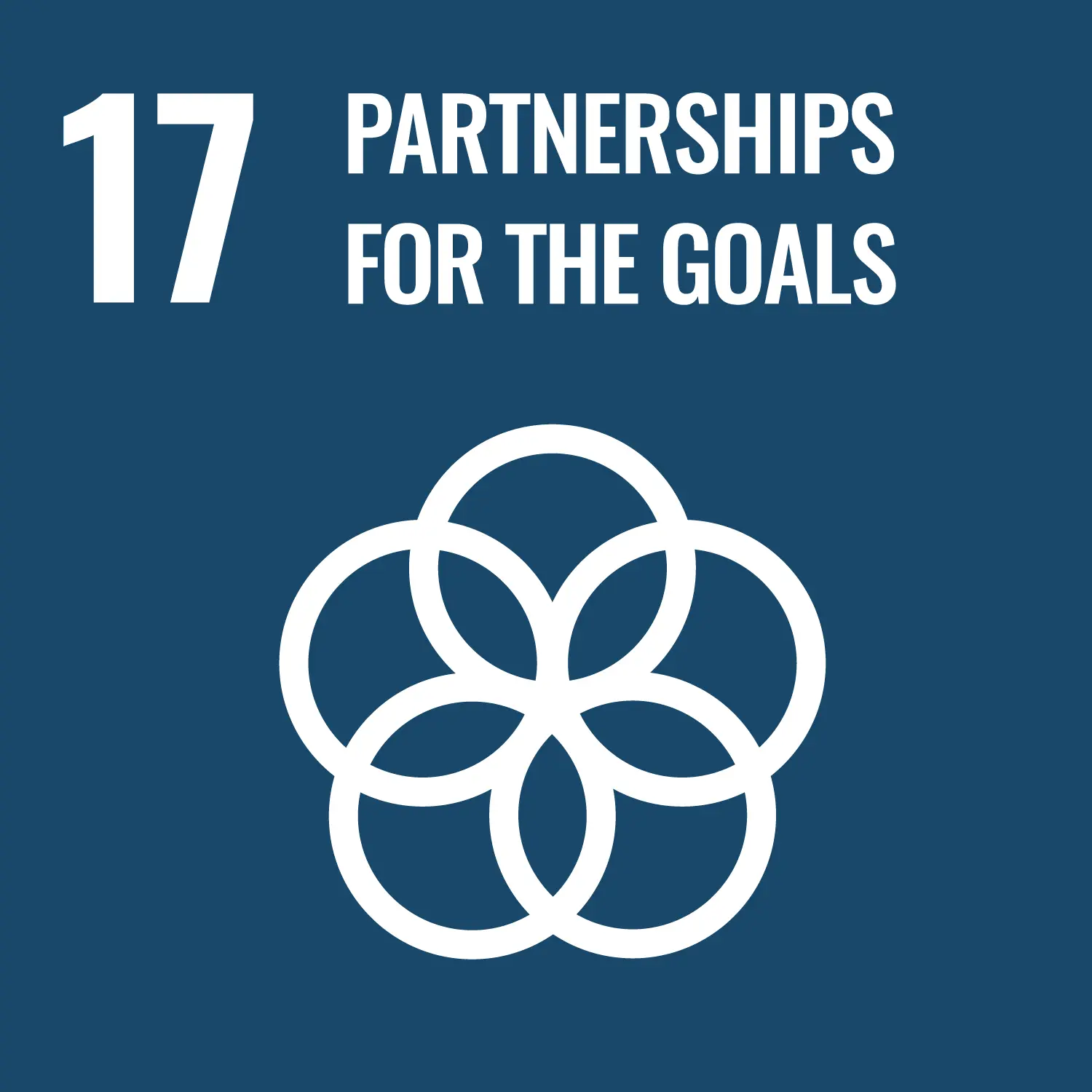 Sustainable development goals logo